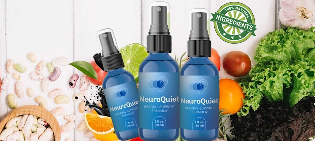 neuroquiet review