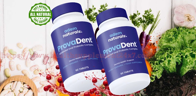 provadent review